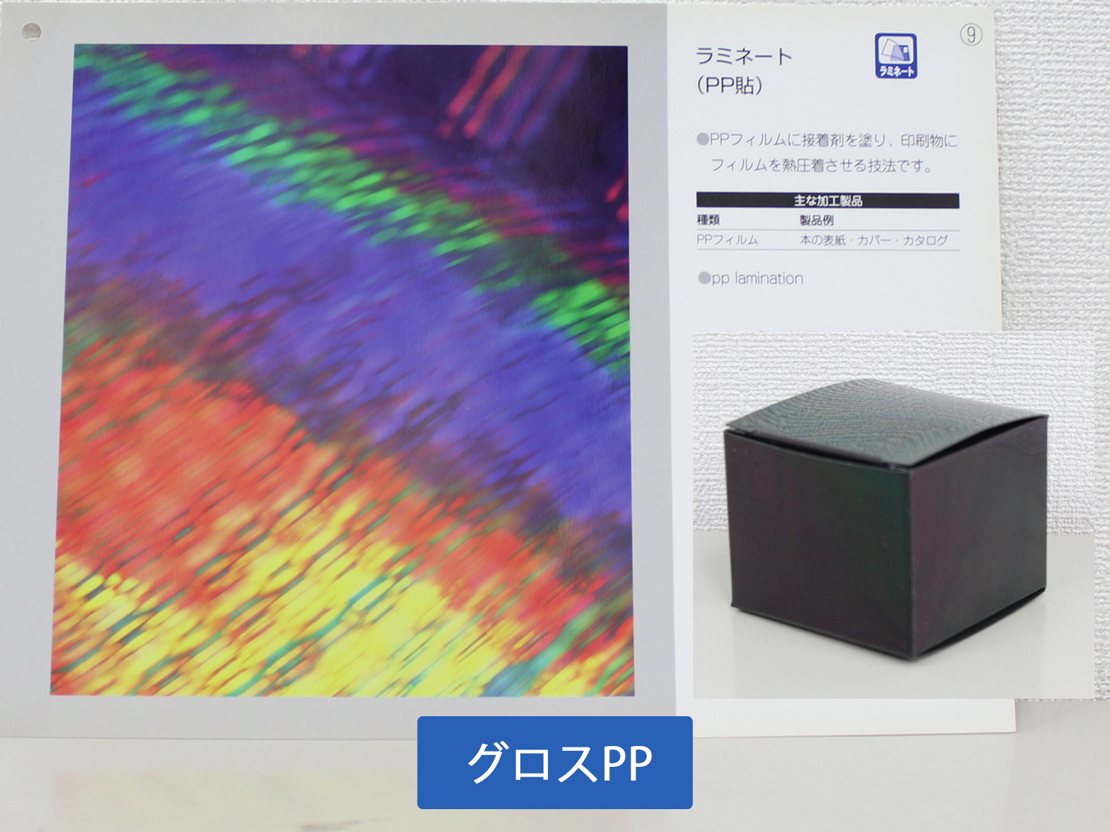グロスPP